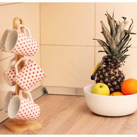 Appartement Rozika *